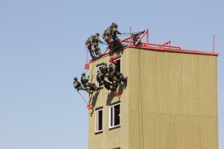 image - 110546669