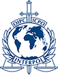 Интерпол